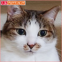 かんみさん&命ーず報告_a0389088_16324058.jpg