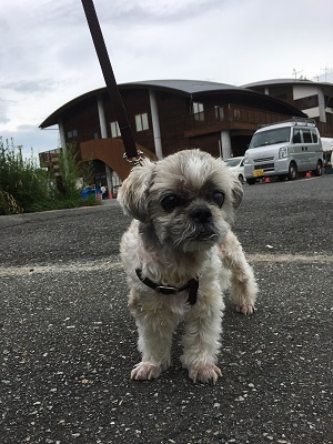 王子の水飲み場。_f0372998_19413850.jpg