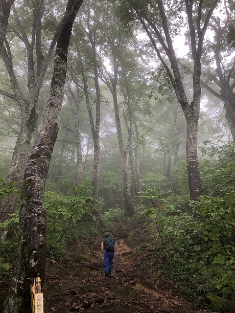 2018年9月14日 雨飾山登山① オニシオガマなど_c0124100_12400254.jpg