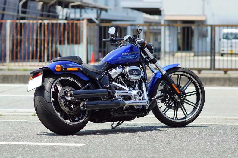 Darth AK様専用 FXBRS ブレイクアウト ライダー用フットペグのみ