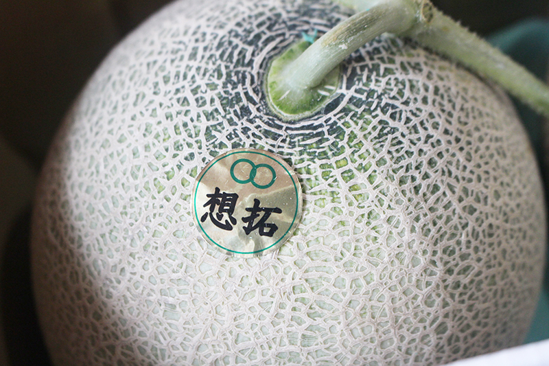 旅するメロン 北海道 13rock ヒサロック 札幌 ビーチクルーザーパラダイス