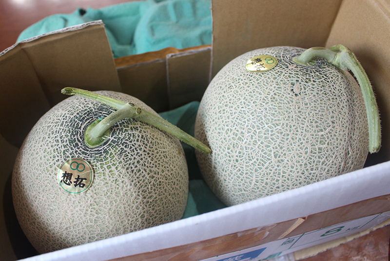 旅するメロン 北海道 13rock ヒサロック 札幌 ビーチクルーザーパラダイス