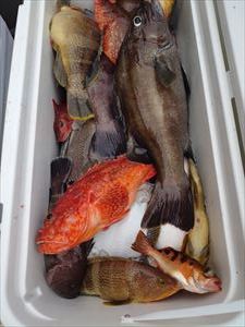 根魚五目_f0031613_19542593.jpg