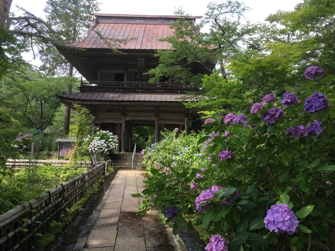 花寺 吉祥寺 ｎ ｆｌｅｕｒ
