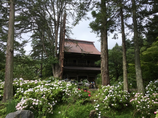 花寺 吉祥寺 ｎ ｆｌｅｕｒ