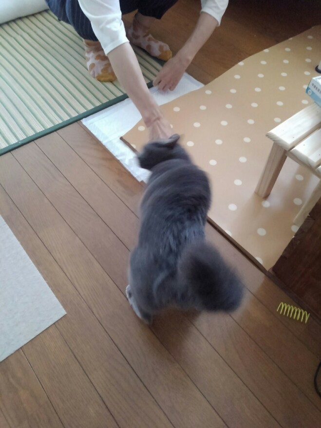 たこ焼き朝帰り_d0152937_16004422.jpg