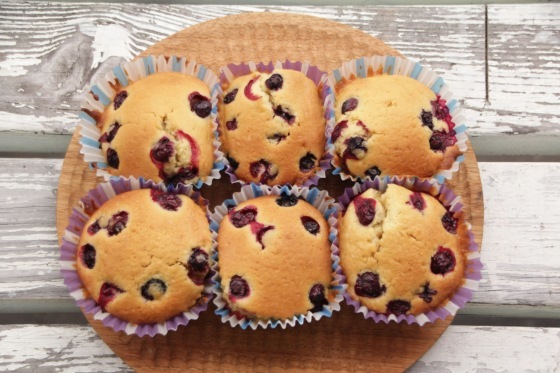 ブルーベリーカップケーキ ほのぼのまめまめ ブルーベリーカップケーキ ほのぼのまめまめ