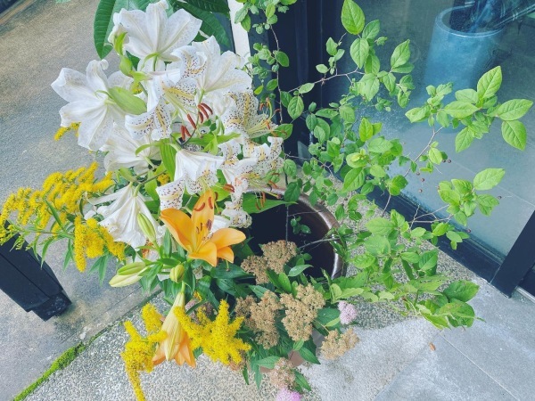 晴耕雨読_c0176838_13330660.jpeg