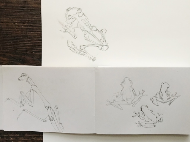 いちおう蛙の絵は描いた_d0101846_06032847.jpeg
