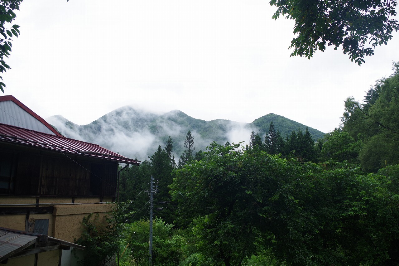 今日も雨・・・。_f0114346_15431139.jpg
