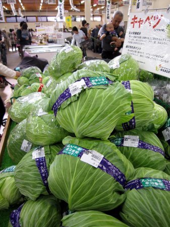 人気の「あまだま」をはじめさまざまな品種のキャベツが登場!_c0141652_17445946.jpg