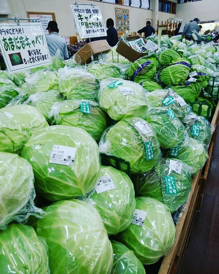 人気の「あまだま」をはじめさまざまな品種のキャベツが登場!_c0141652_17454253.jpg