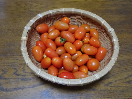 ミニトマト取れ過ぎ!!_d0082763_19463749.jpg