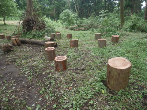 台風被害木を散策者の椅子に活用：7・24六国見山臨時（下）_c0014967_09260616.jpg