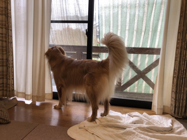 連休3日目。_a0394574_10254248.jpeg