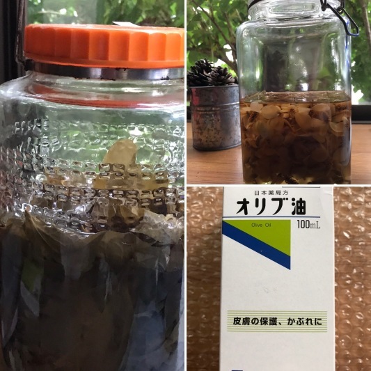 冷暗所に置いてあったので その日 その日 冷暗所に置いてあったので その日 その日