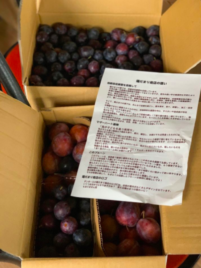 今日のこと 7月 27日!!ブルーベリーに続き、完熟プルーン初入荷!!_d0263607_15041042.png