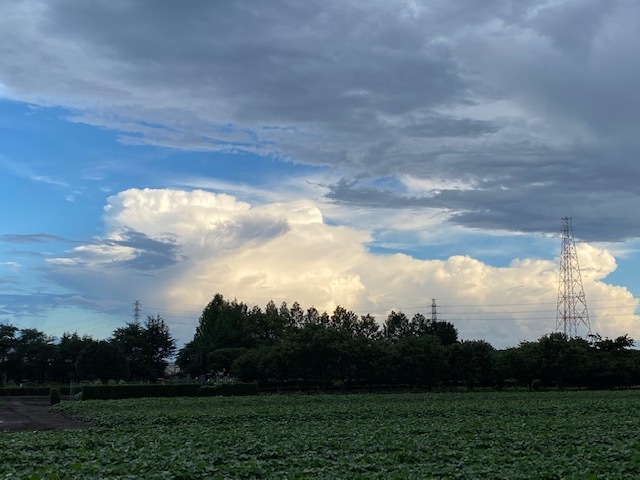 命の雫_d0130714_19402559.jpg