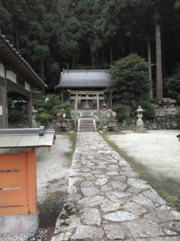 金剛山の向こう側(岡)_f0354314_20454983.jpg