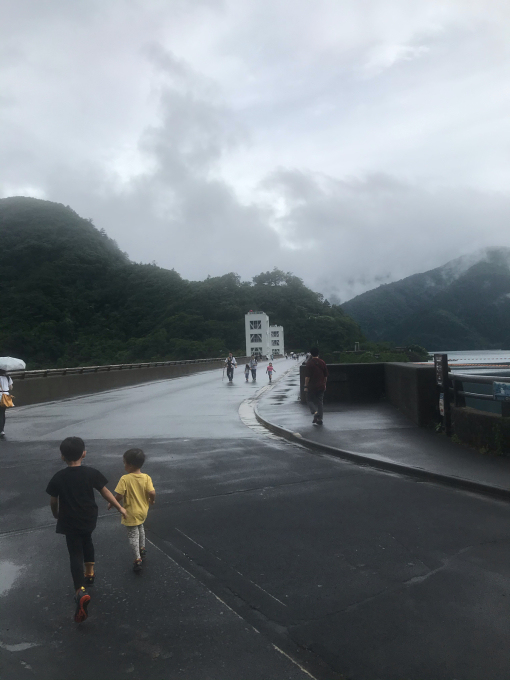 コロナ　雨続き　4連休_c0358222_07094101.jpg