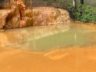 津和野と木部谷温泉_c0051529_14290156.jpg