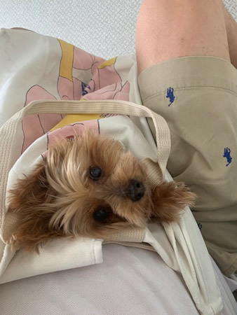 昨日_d0248537_06575571.jpg