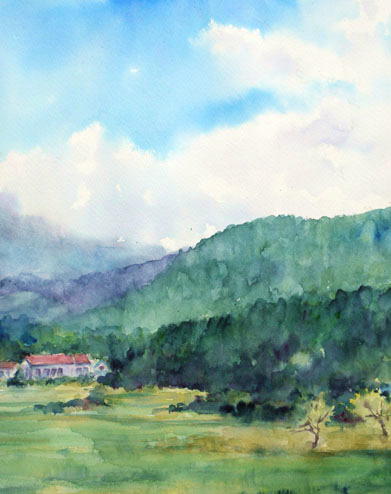 夏空の里山 水々彩々 流れのままに