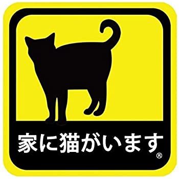 ボロボロの蝶_e0403850_21190366.jpg