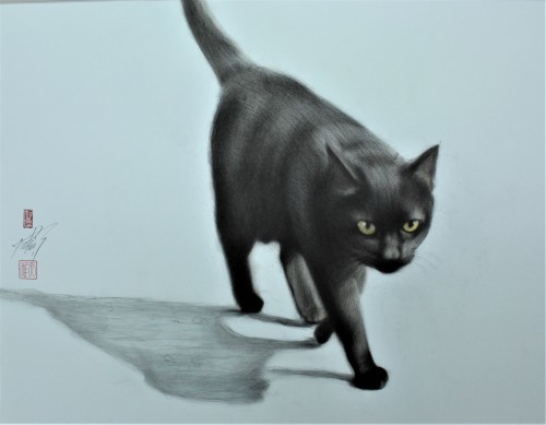 タイトル 近所の黒猫 って言うらしい 猫の眼
