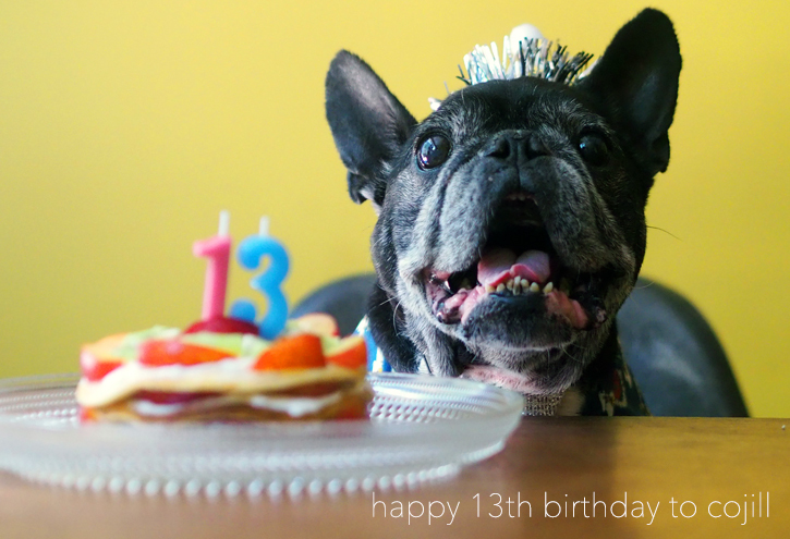 happy 13th birthday to cojill_e0243765_14313115.jpg