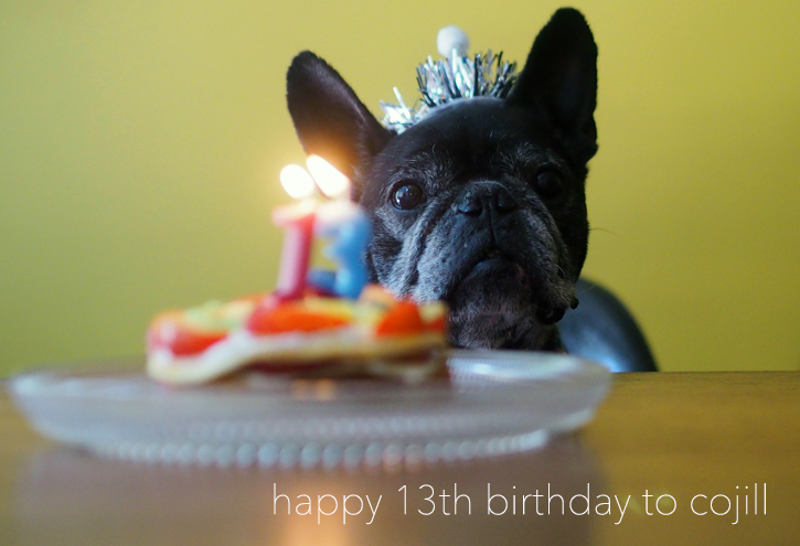 happy 13th birthday to cojill_e0243765_14313537.jpg