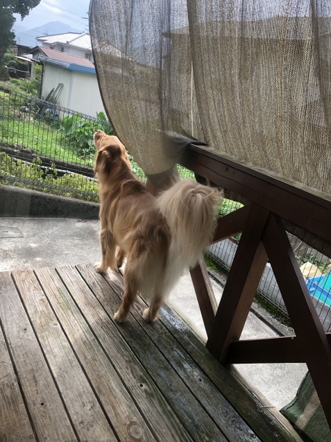 明日へ。_a0394574_10265595.jpeg