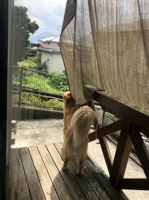 明日へ。_a0394574_10272724.jpeg