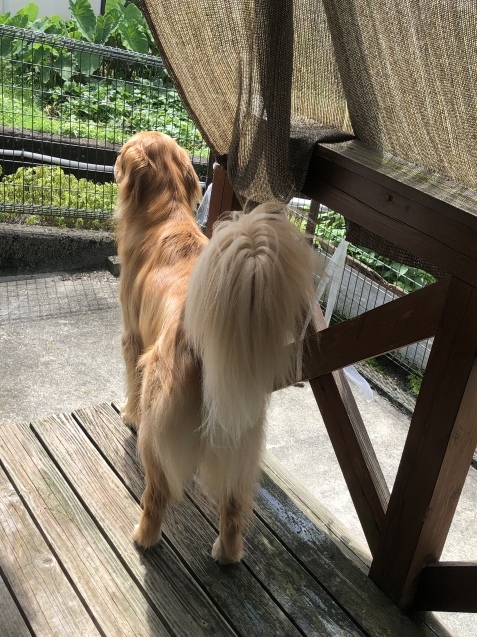 明日へ。_a0394574_10282788.jpeg