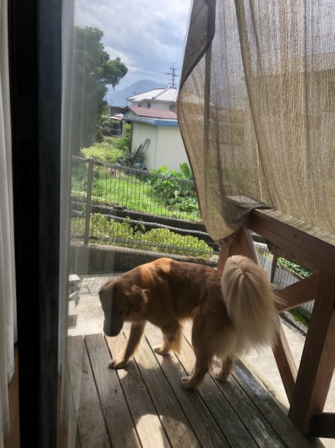 明日へ。_a0394574_10323612.jpeg