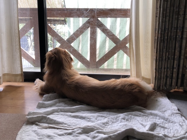 明日へ。_a0394574_10352383.jpeg