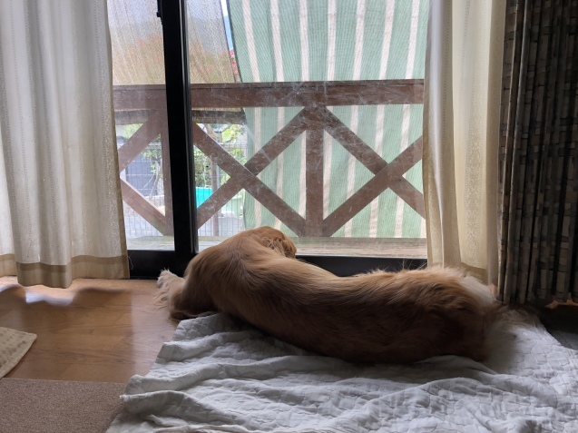 明日へ。_a0394574_10380050.jpeg