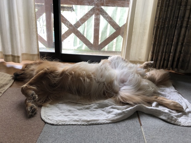 明日へ。_a0394574_10392061.jpeg