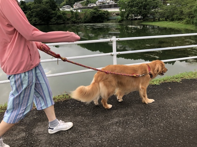 行く４連休、来る日常。_a0394574_22265231.jpeg