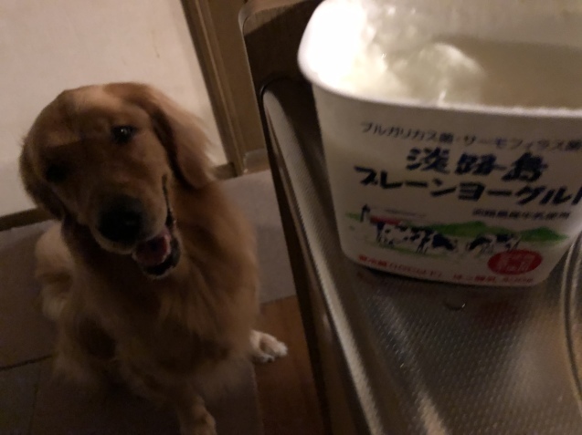行く４連休、来る日常。_a0394574_22520523.jpeg