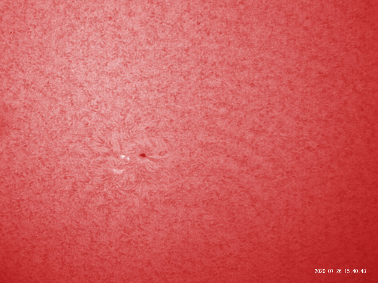 7月26日の太陽 黒点が立派に!_e0174091_16563516.jpg