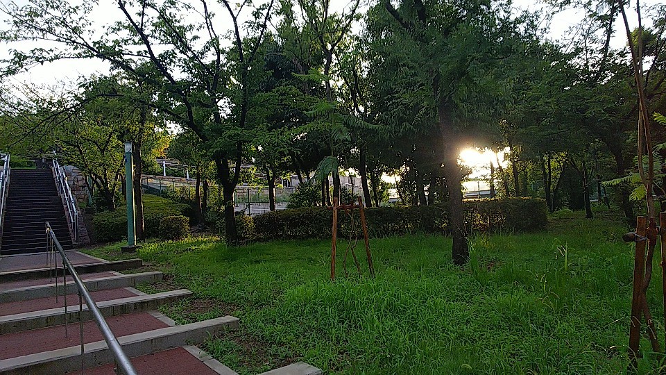 日曜日_a0098418_23041891.jpg