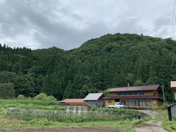 農業を学ぶ研修_d0180229_1736897.jpg