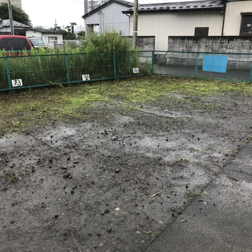 1000坪草刈り終了_f0031037_19193880.jpg
