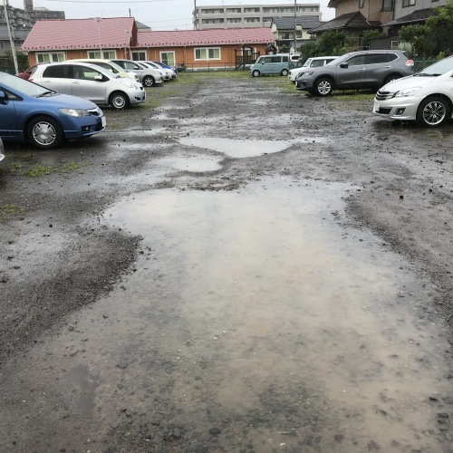 1000坪草刈り終了_f0031037_19193959.jpg