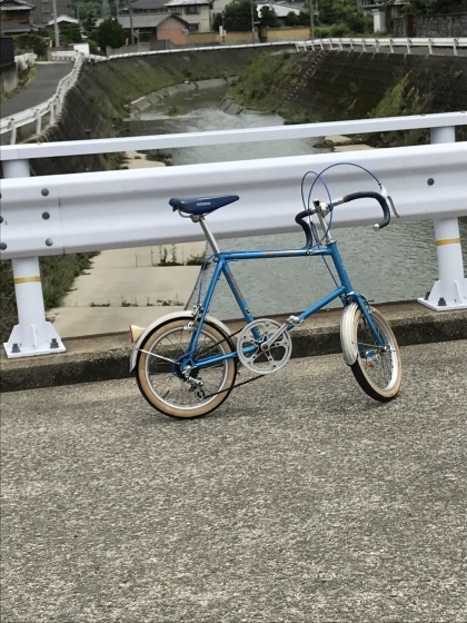 アラヤマイクロハリーをゲット : 年寄りの冷水 山/岩/自転車の日記