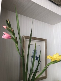 板野生活 ~グラジオラスの夏~_c0218368_13171920.jpg