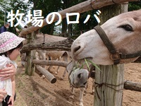 7月の連休でにぎわい_d0096268_14541131.jpg