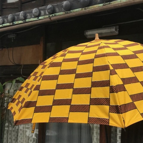やっとこさ!撮れた_b0322280_21262890.jpg