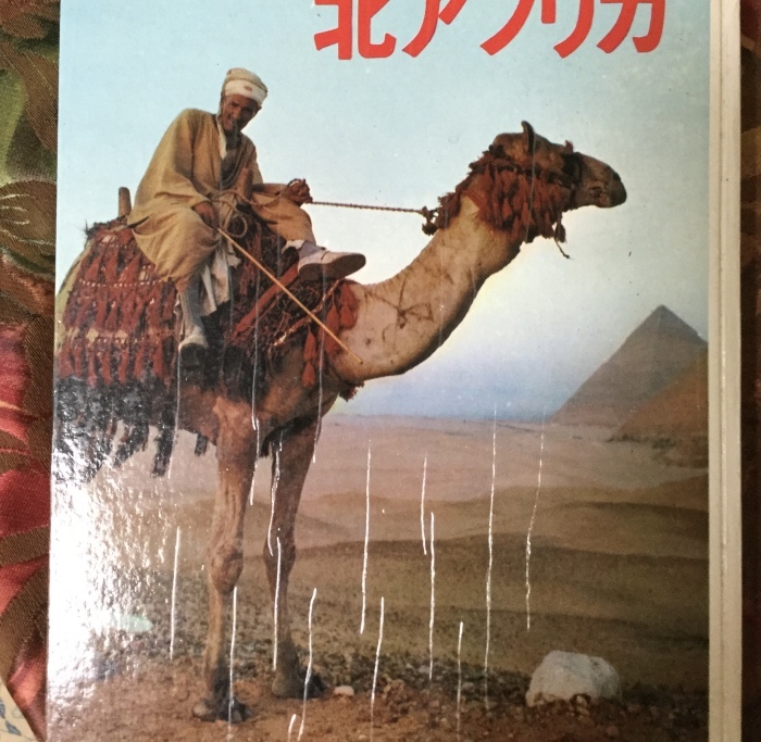 アラブの砂_f0268294_07203954.jpeg